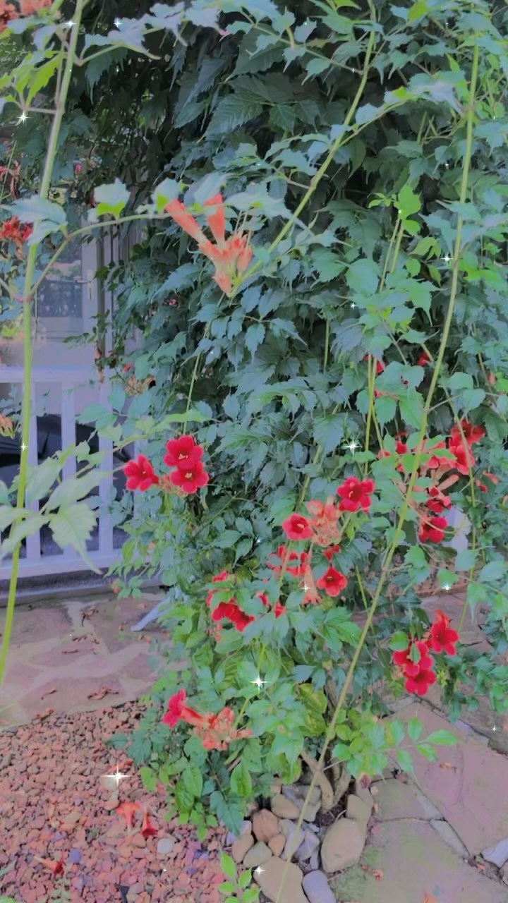 GENIETEN VAN HET UITZICHT 🌺 Verscholen in onze tuin vind je de veranda met bubbelbad van de B&B 🥰. Vanuit het bubbelbad heb je een prachtig uitzicht over onze tuin 🌸.