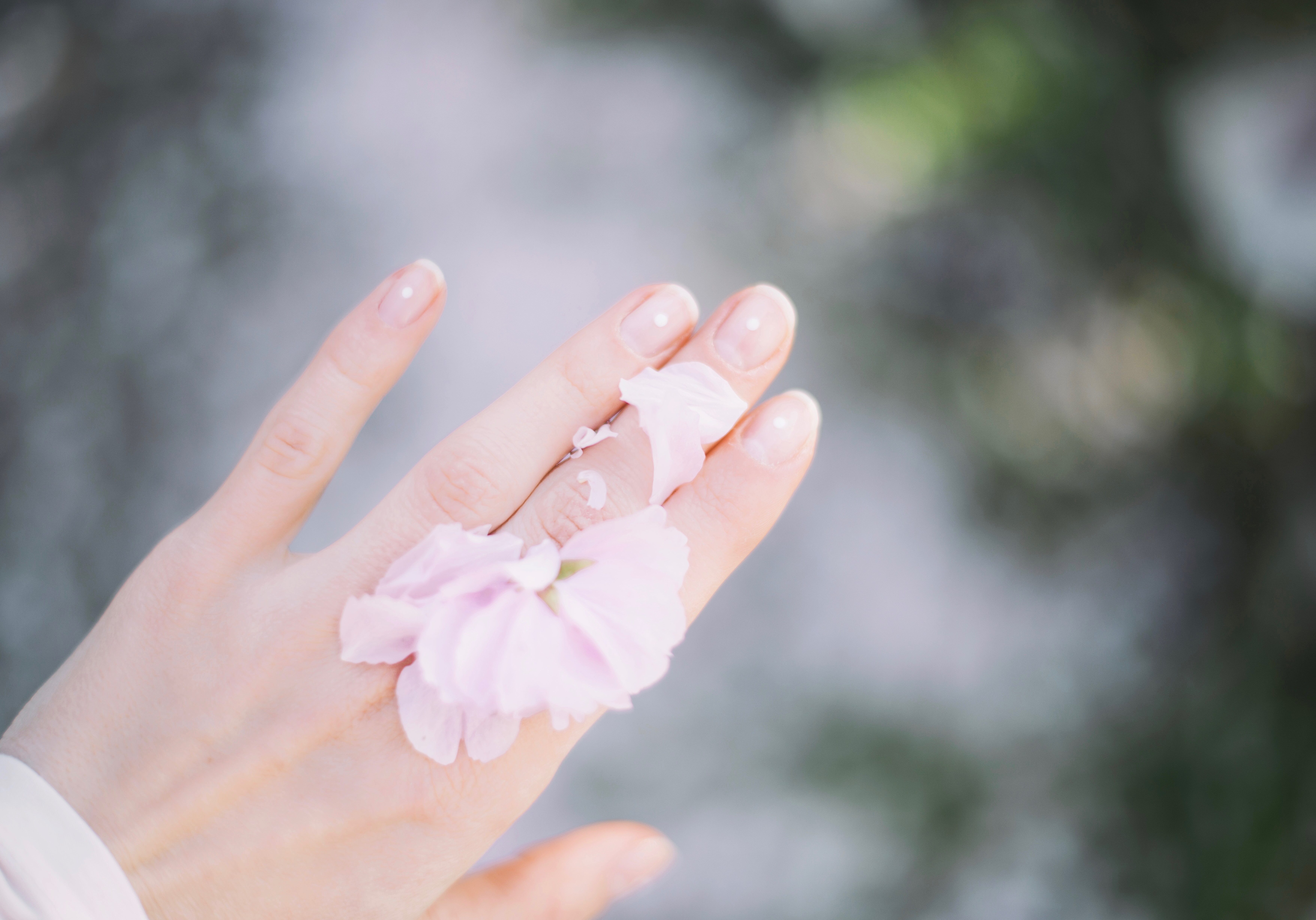 roman-kraft-105792-unsplash roman-kraft-105792-unsplash